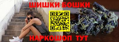 мдпв Партизанск