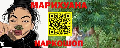 мдпв Партизанск