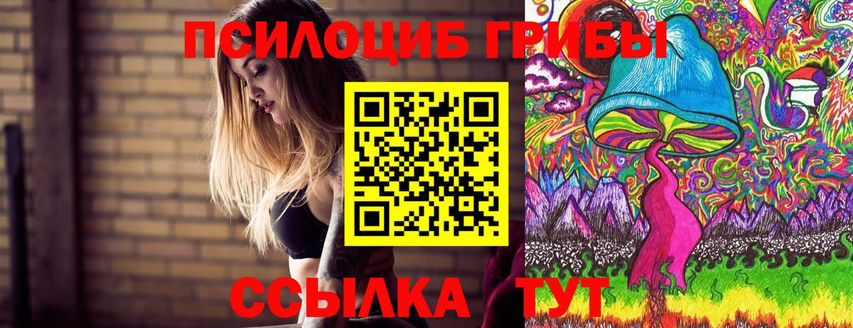 Псилоцибиновые грибы Magic Shrooms  Псилоцибиновые грибы Psilocybine cubensis  наркотики  Вход с VPN  Махачкала 