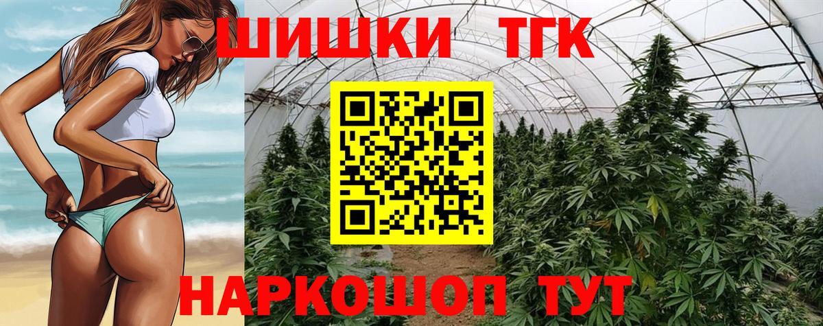 Канабис сатива Махачкала